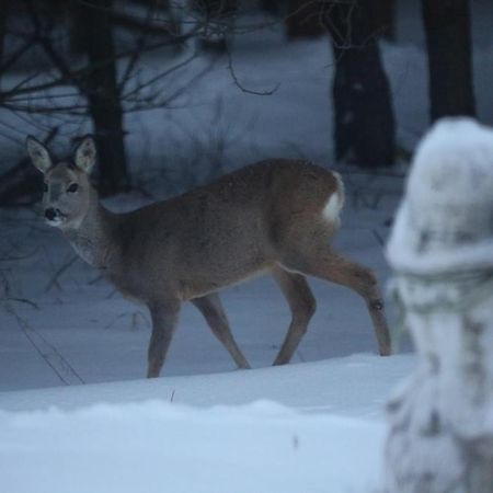 Kompleks Male Dolomity Hucisko  Eksteriør bilde