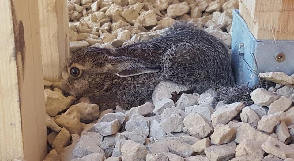 Kompleks Male Dolomity Hucisko  Eksteriør bilde